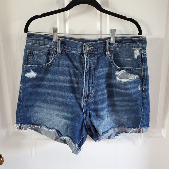 American Eagle Outfitters Pants - American Eagle Outfitters Blue Jean Shorts